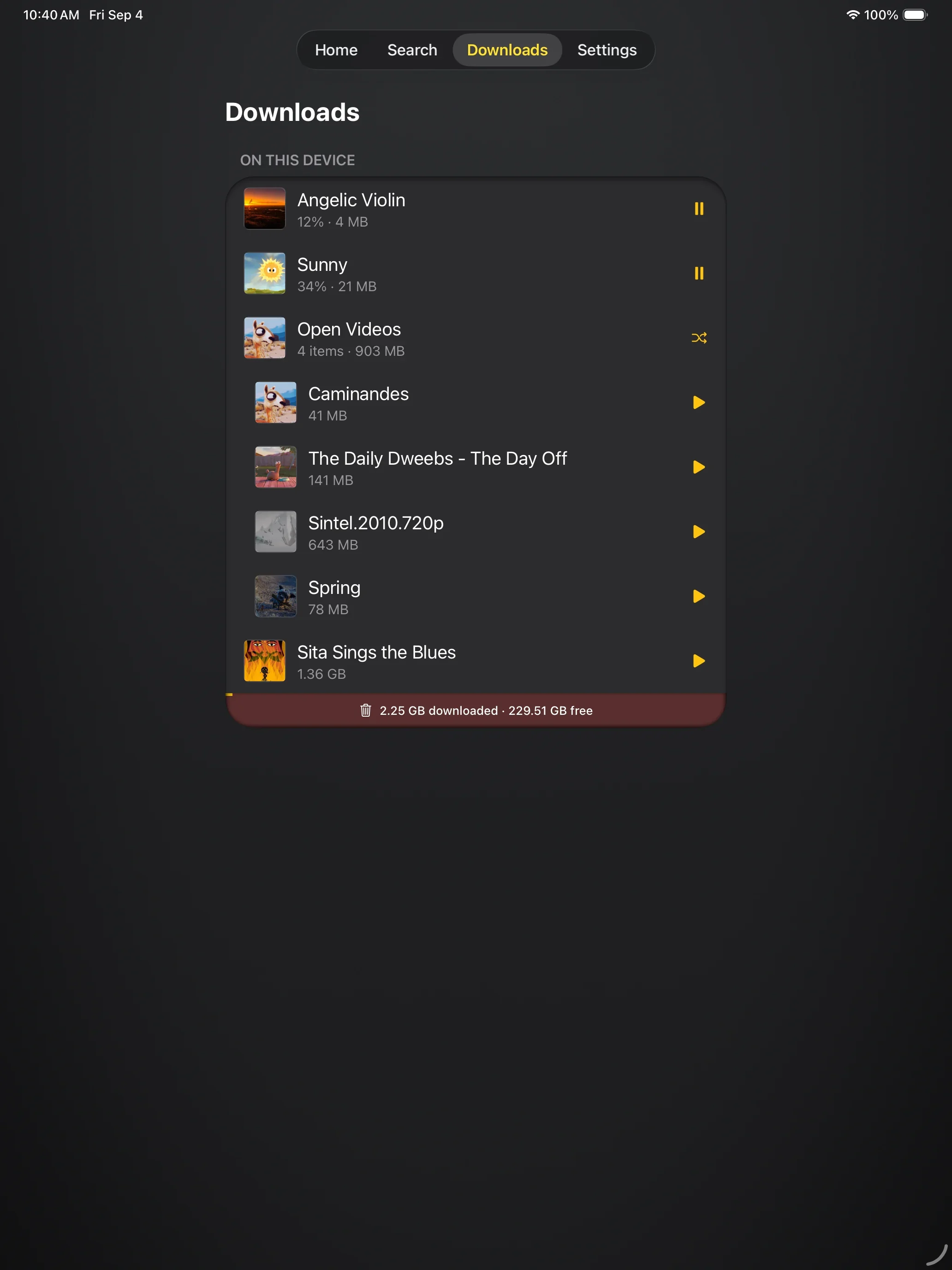 The Downloads tab on iPad: two downloads still running with pause buttons, a folder expanded below them, and the storage gauge at the foot of the card
