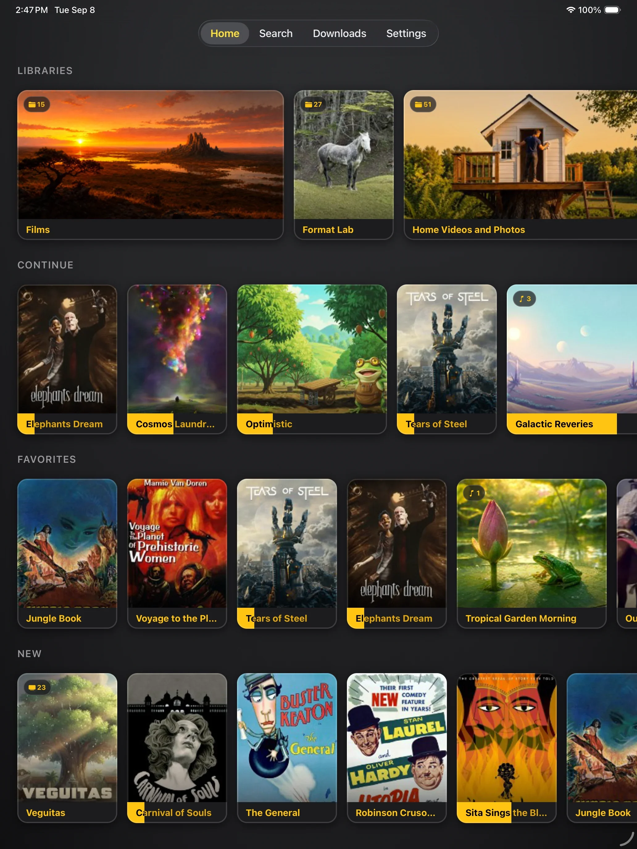 Tomo TV Home on an iPad: Libraries, Continue, Favorites and New rows of artwork under the tab bar